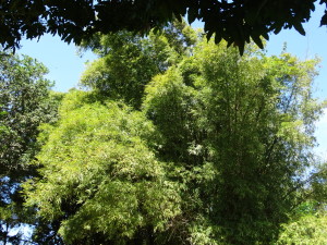 DSC03608