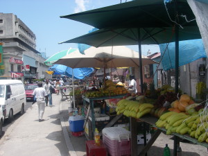 IMGP0230