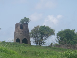 IMGP0234